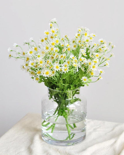 Chamomile Charm - Enchanting 30 Mini Bloom Bouquet
