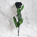 4-5CM/28cm,Natural Preserved Rose flower with stem,Real Eternal display rose for Wedding Party home Decoration,Mothers Day Gift