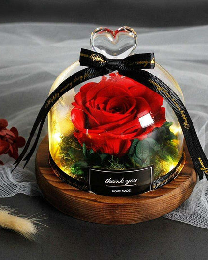 Enchanted Rose Glass Dome with Twinkling LED Lights