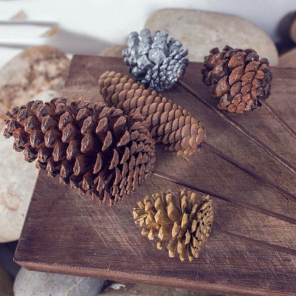 Dried Pine Cone and Floral Arrangement for Chic Nordic Home Styling - Seasonal Festive Decor