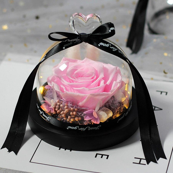 Eternal Rose Glow: Preserved Flower in Lighted Glass Dome