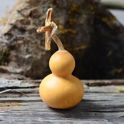 Natural Elegance 10-Piece Dried Gourd and Eternelle Plant Decor Set