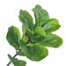 Artificial Ficus Pandurata Hance Bonsai - 72CM Elegance and Luxury