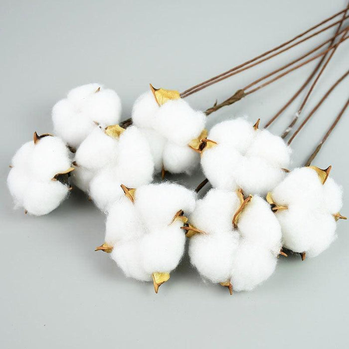 White Cotton Flower Branches - Set of 5 for Elegant Home Decor and Events