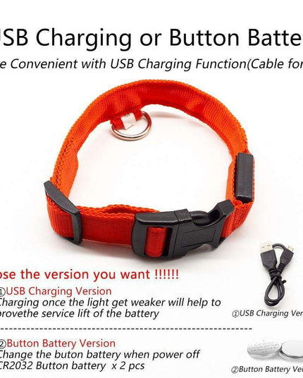 Illuminate & Protect: Rechargeable Waterproof LED Dog Collar for Enhanced Nighttime Safety