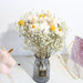 Gypsophila Dried Flower Arrangement Kit for Home Decor and Photography Props