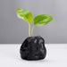 Elegant Black Stone Miniature Vase: Customizable Nature-Inspired Home Accent