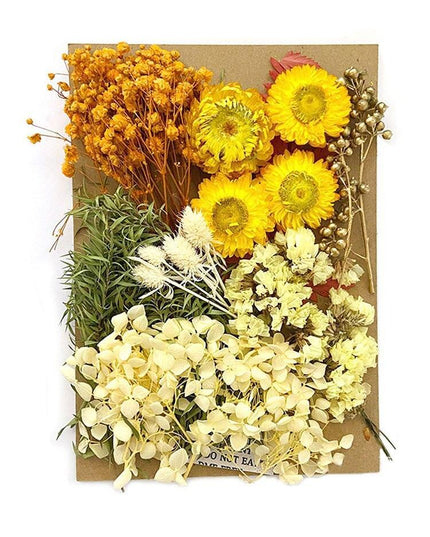 Floral Fantasy: Premium Dried Flowers Crafting Kit