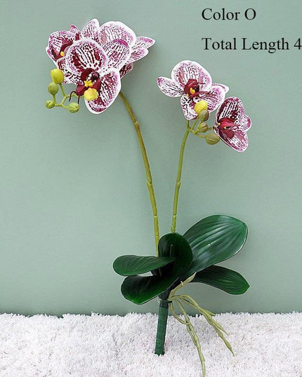 Elegant White Orchid Blooms for Upscale Home and Event Styling