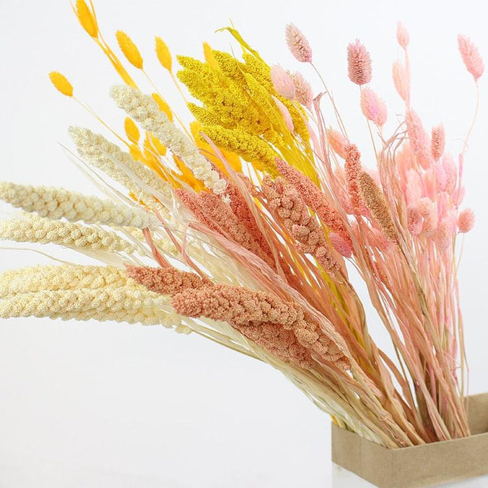 Natural Dried Flower Bouquet with Black Pampas Grass and Wheat Ear - Home Wedding Table Decoration