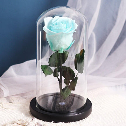 Timeless Romance: Stunning Preserved Rose in Glass Cloche - Authentic Bloom, Lasting Elegance, Enduring Beauty