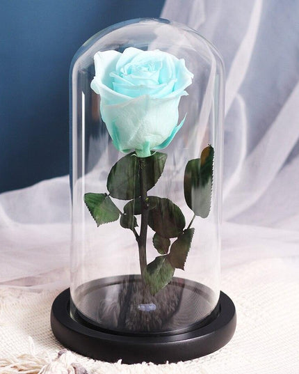 Timeless Romance: Stunning Preserved Rose in Glass Cloche - Authentic Bloom, Lasting Elegance, Enduring Beauty