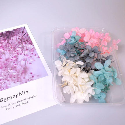 Eternal Floral Inspirations: Preserved Petals for Creative Expressions