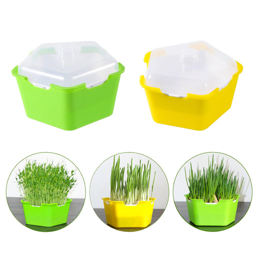 Fresh Sprouts Starter Kit with Pentagonal Growing Tray and Complete Accessories