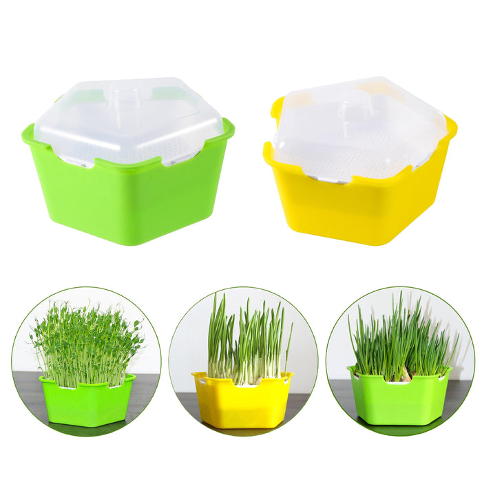 Fresh Sprouts Growing Kit with Pentagonal Tray and Complete Set of Tools