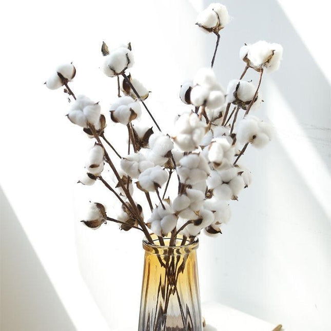 Charming Dried Cotton Flower Arrangement - A Touch of Nature for Home and Weddings