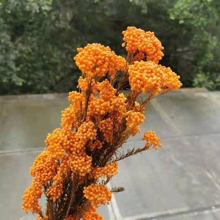 Rustic Floral DIY Garland Craft Kit - Elegant Home Decor Set