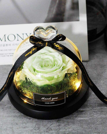 Timeless Elegance: Illuminated Red Roses in Glass Dome