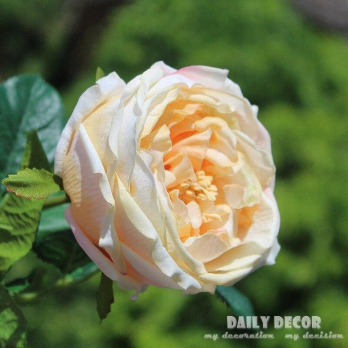 Elegant Real Feel Moisturizing Austin Rose Flowers - Set of 12 for Wedding Decor