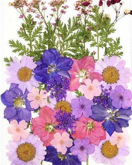 Luxurious Pressed Floral Collection: Aesthetic Inspirations for Creative Projects