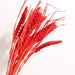 Rustic Elegance Dried Flower Bouquet Bundle - Versatile Home and Event Decor