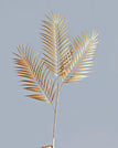 Golden fern leaf A