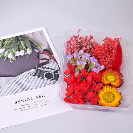 Eternal Floral Inspirations: Preserved Petals for Creative Expressions