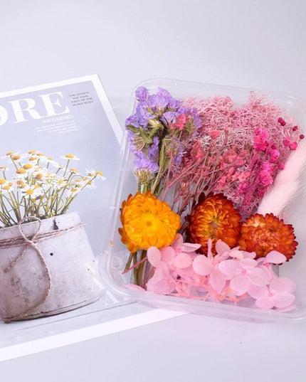 Eternal Floral Inspirations: Preserved Petals for Creative Expressions