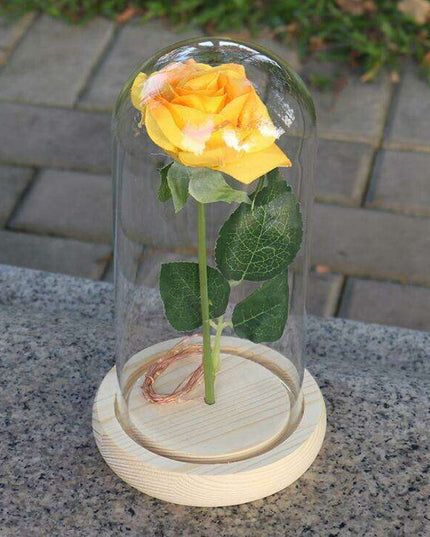 Timeless Elegance Red Pink Rose Glass Dome Display