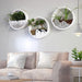 Chic Acrylic Hanging Wall Vase for Modern Succulents