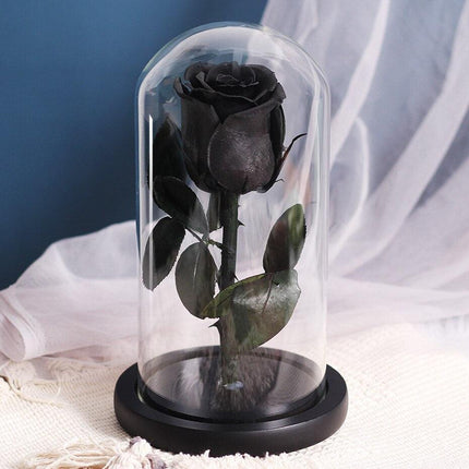 Timeless Romance: Stunning Preserved Rose in Glass Cloche - Authentic Bloom, Lasting Elegance, Enduring Beauty