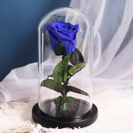 Timeless Romance: Stunning Preserved Rose in Glass Cloche - Authentic Bloom, Lasting Elegance, Enduring Beauty
