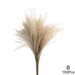 Enduring Beauty: Deluxe Preserved Reed Flower Display