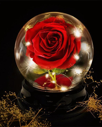 Eternal Glow Rose Dome - Illuminated Floral Beauty