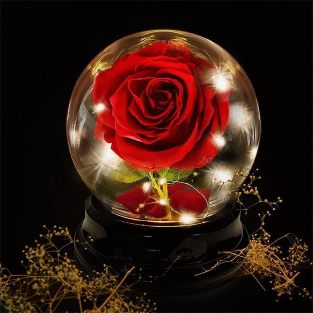 Eternal Glow Rose Dome - Illuminated Floral Beauty