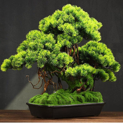 Tranquil Retreat Faux Pine Bonsai - Elegant Zen Decor Element