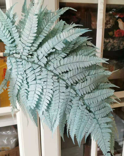 Eternal Green Fiddlehead Ferns Set - 10 Pieces (25x40cm)