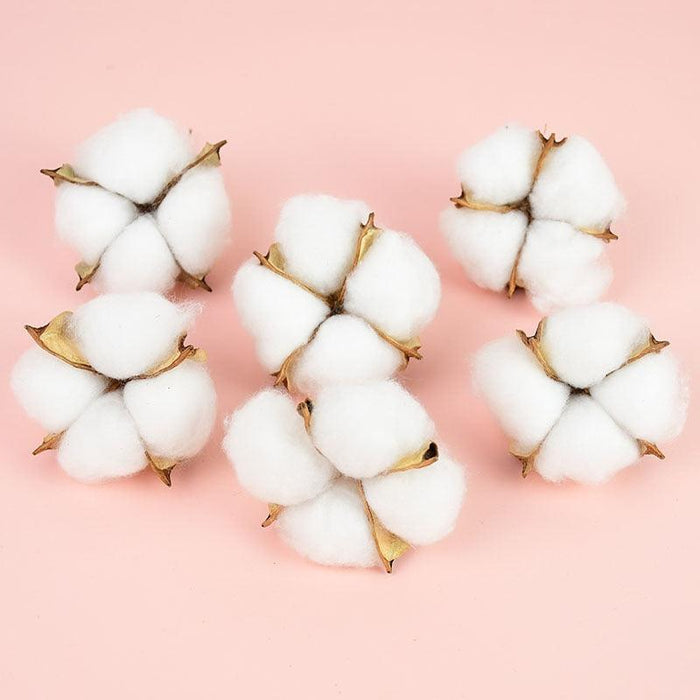 Elegant White Natural Dried Flower Cotton Bundle - Creative Wedding & Home Decor Solution