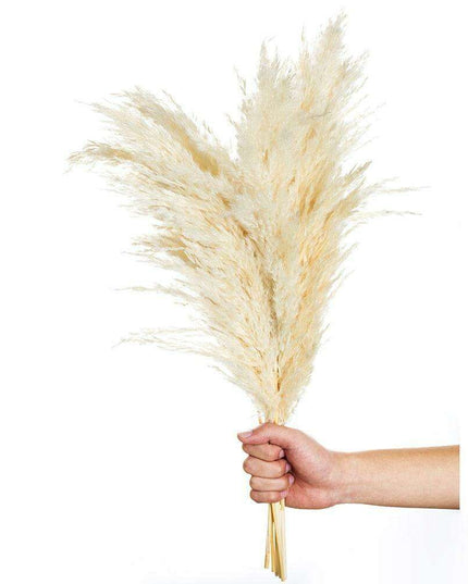 Elegant Vintage White Pampas Grass Bouquet - A Touch of Timeless Charm