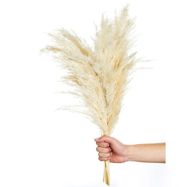 Elegant Vintage White Pampas Grass Bouquet - A Touch of Timeless Charm