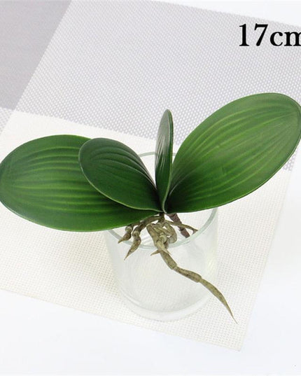 Elegant Phalaenopsis Orchid Arrangement in Pot: Enhance Your Home Decor