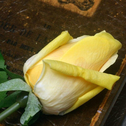 Lifelike Artificial Rose Stem Collection for Elegant Home and Wedding Decor