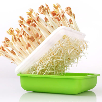 Hydroponic Peanut Sprout Growing Kit with Complete Tray System for Home Gardening