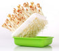 Hydroponic Peanut Sprout Growing Kit with Complete Tray System for Home Gardening