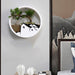 Circular Acrylic Hanging Wall Vase with Modern Plant Holder