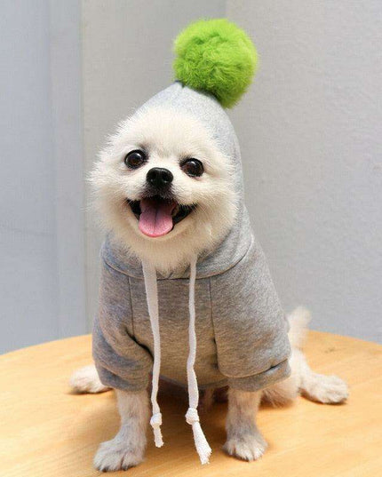 Chic Hooded Winter Jacket for Small Dogs - Fashionable Warmth for Tiny Tails