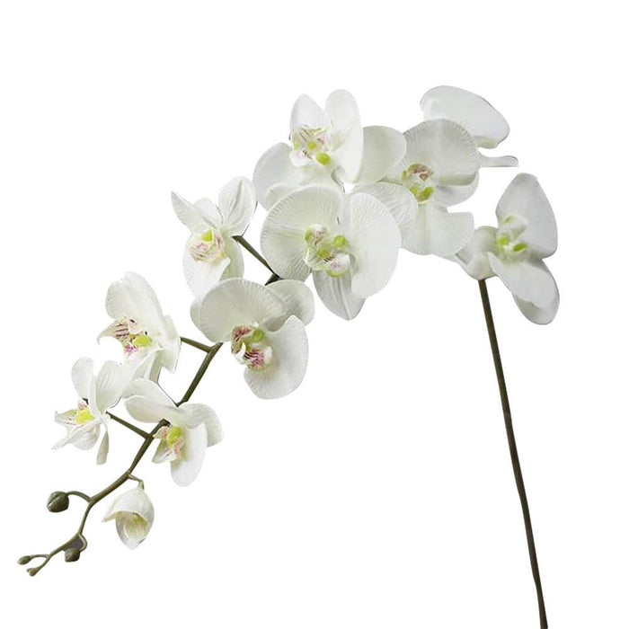 Silk Orchid Phalaenopsis Flower Collection - Large 43.3" Bundle with 11 Heads and Size Variety