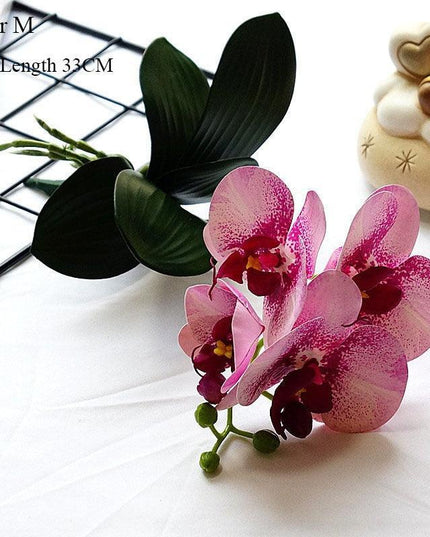 Elegant White Orchid Blooms for Upscale Home and Event Styling