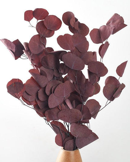 Serene Eucalyptus Essence: A Botanical Wonder for Every Setting