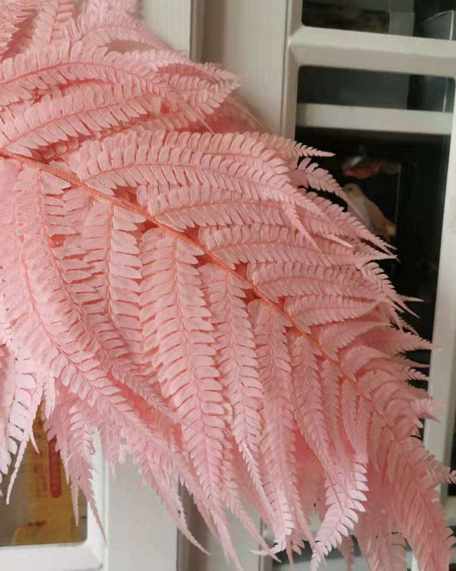 Eternal Green Fiddlehead Ferns Set - 10 Pieces (25x40cm)